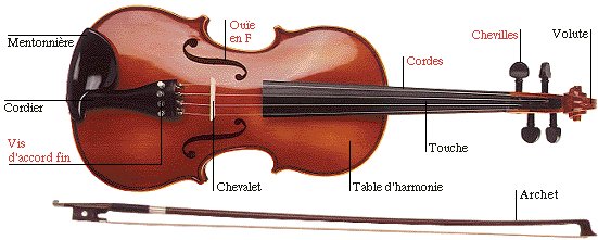 le violon